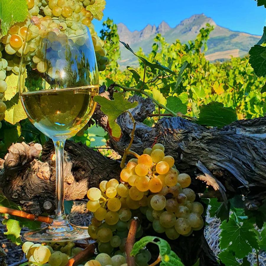 Raithby Winelands Historical Cottage Екстер'єр фото